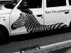 IMG_0134_fl