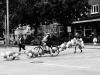 dsc02060-2-2_fl