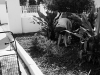 pc145548_fl